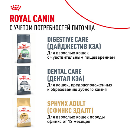 Royal Canin Sphynx Kitten Корм сухой сбалансированный для котят породы Сфинкс до 12 месяцев, 0,4 кг